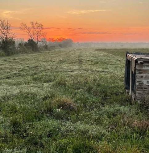 rangeatdawn rangeatdawn