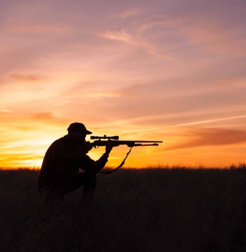 shootersiluette2 shootersiluette2